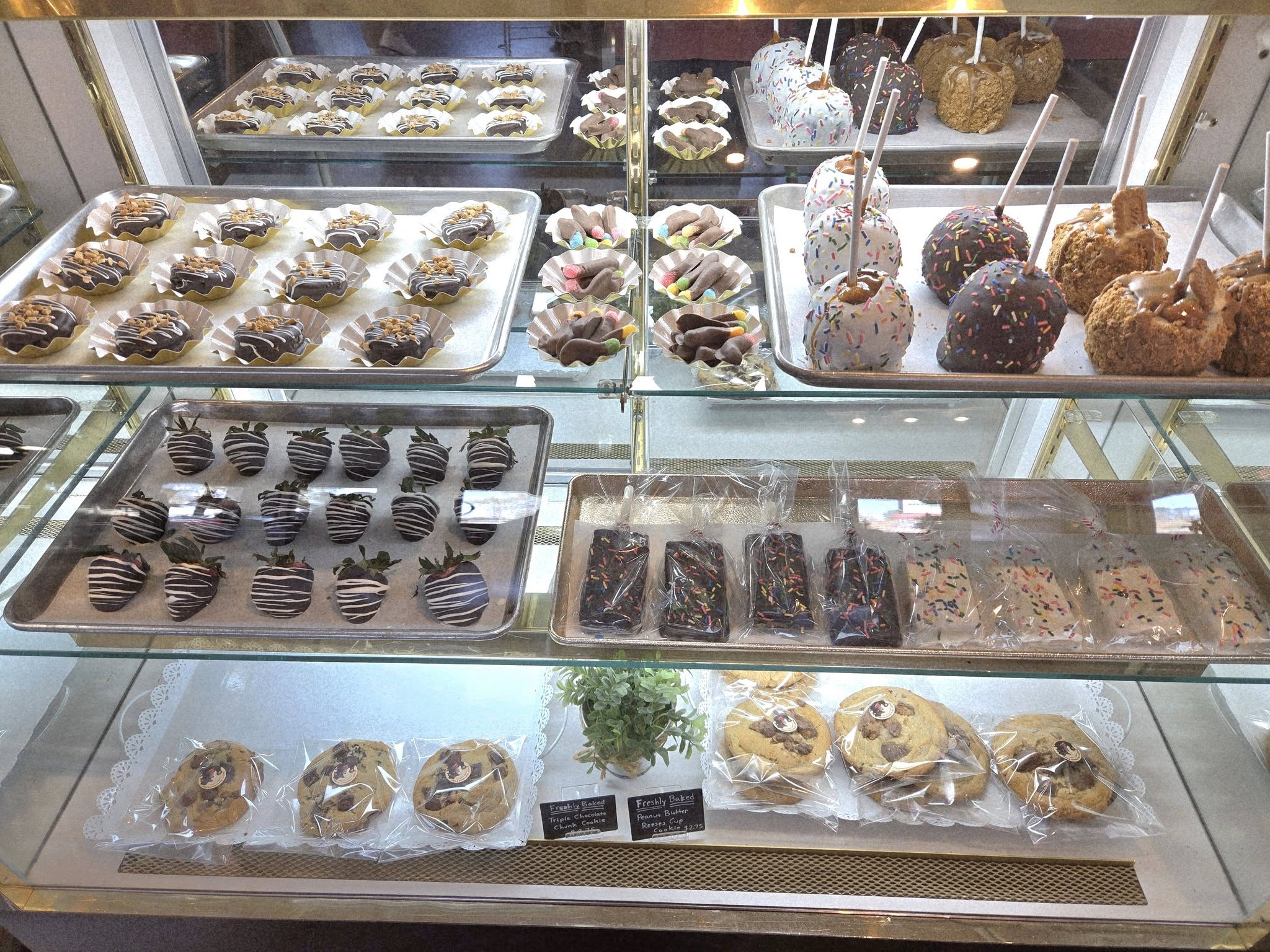 Dugger Mountain Fudge & Coffee Co. photo 5