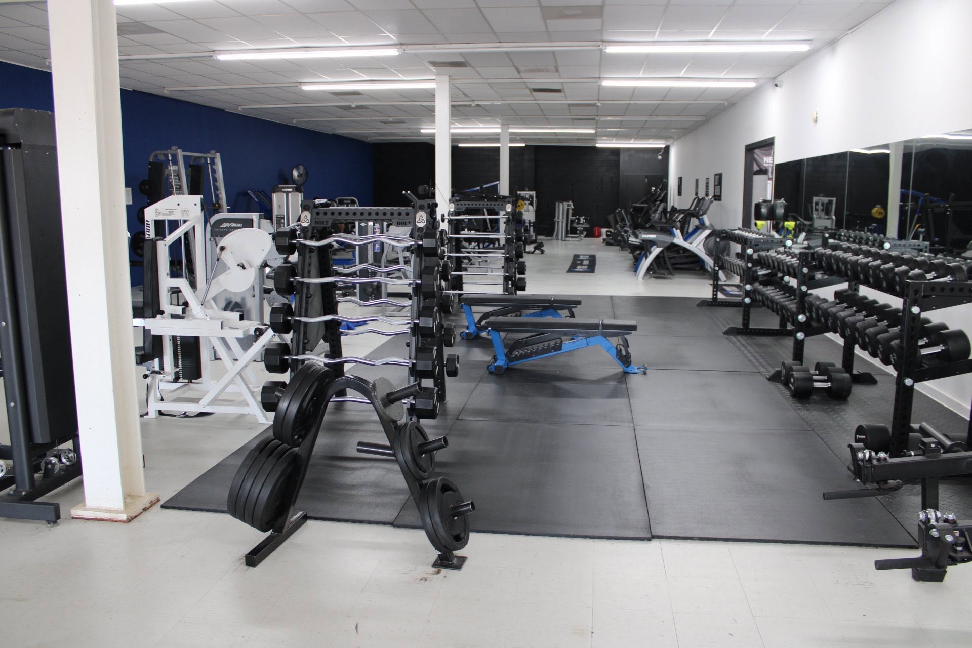 Foundation Fitness photo 4